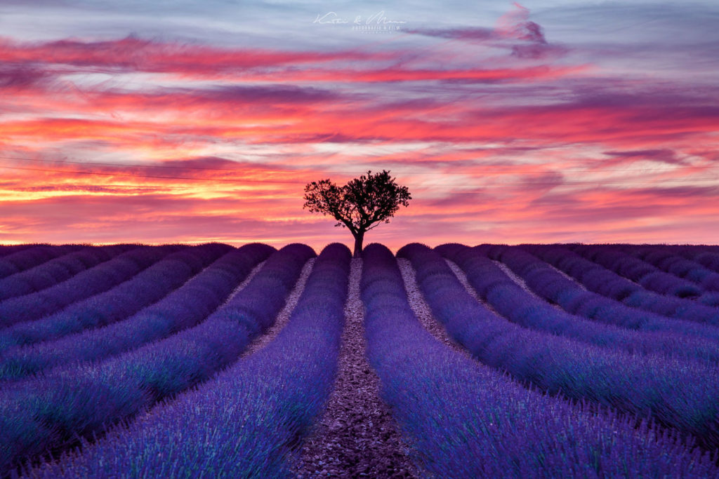 Valensole